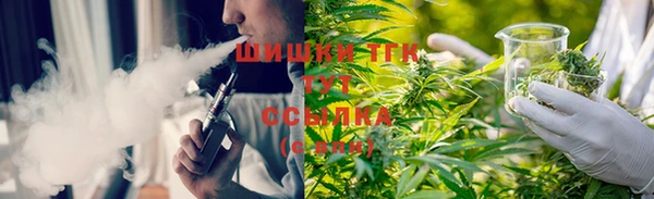 молекула духа Алексеевка