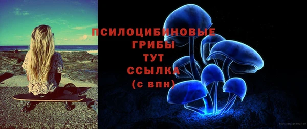 бошки Алзамай