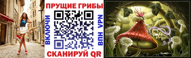 даркнет сайт  Бахчисарай  Галлюциногенные грибы Cubensis 