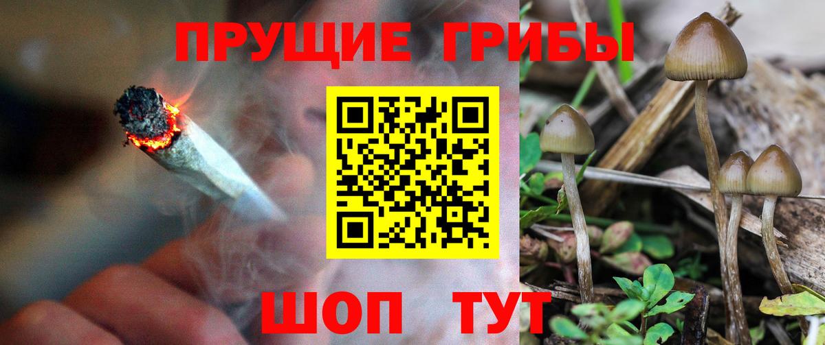 Галлюциногенные грибы MAGIC MUSHROOMS  Вход с VPN  Бахчисарай 