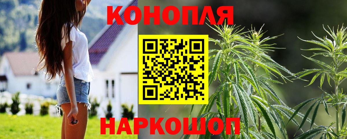Бошки марихуана Bruce Banner Бахчисарай